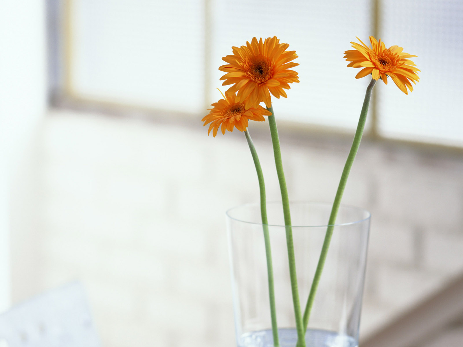 让美德开出花来（太平煤矿 张娟）
