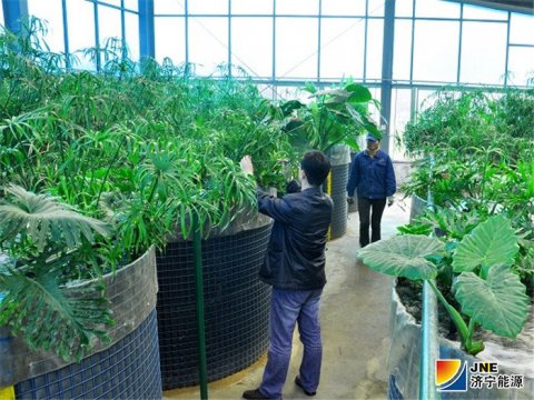 【特稿】创新让“花园”更美丽——花园煤矿步步为营不断提升智能化水平侧记