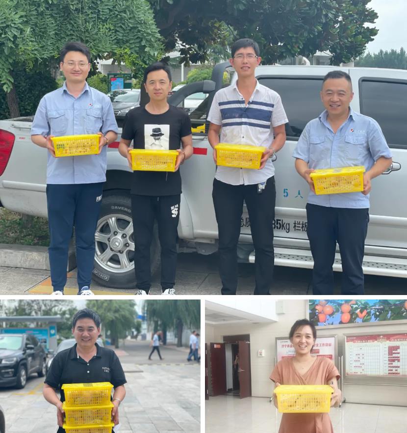 1626223367561628.jpg 1626223367561628.jpg