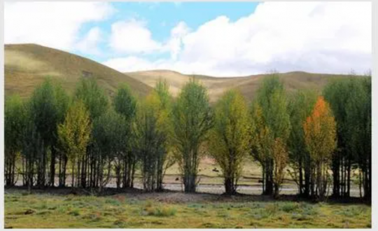 职工文苑丨背上行囊 逐梦前行