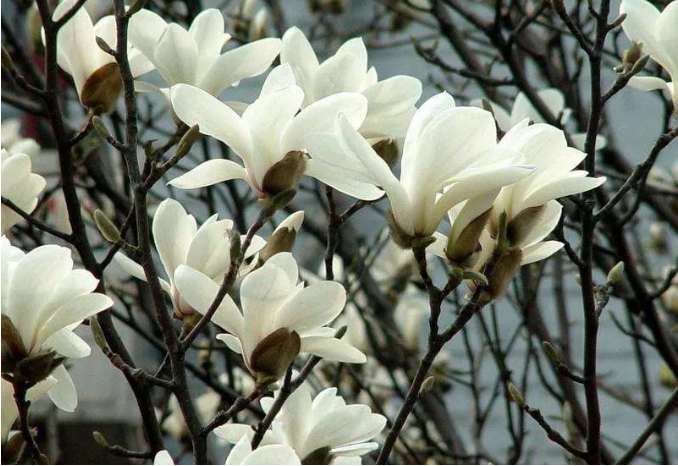 1647056975411832.png 微信截图_20220312114755.png