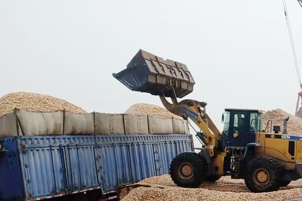 1648536816493920.jpg 太平港-太平港新木片抓斗成功试运行(张冬宁) (1).jpg