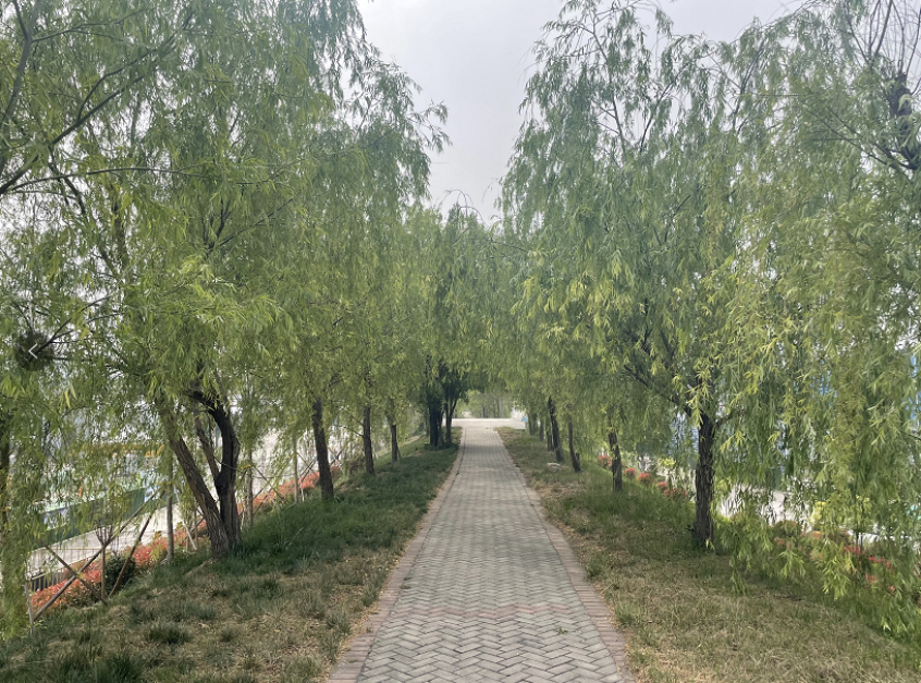 1664153384655816.png 微信截图_20220926084824.png