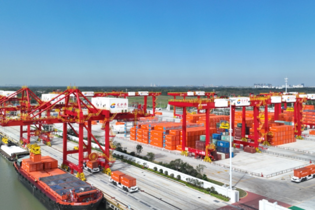 1706776028595516.jpg 640.jpg