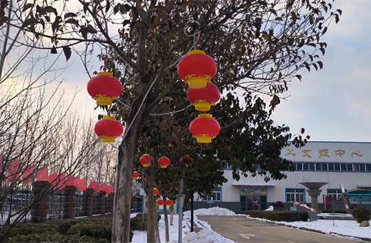 1708762814550763.jpg 大红灯笼.jpg