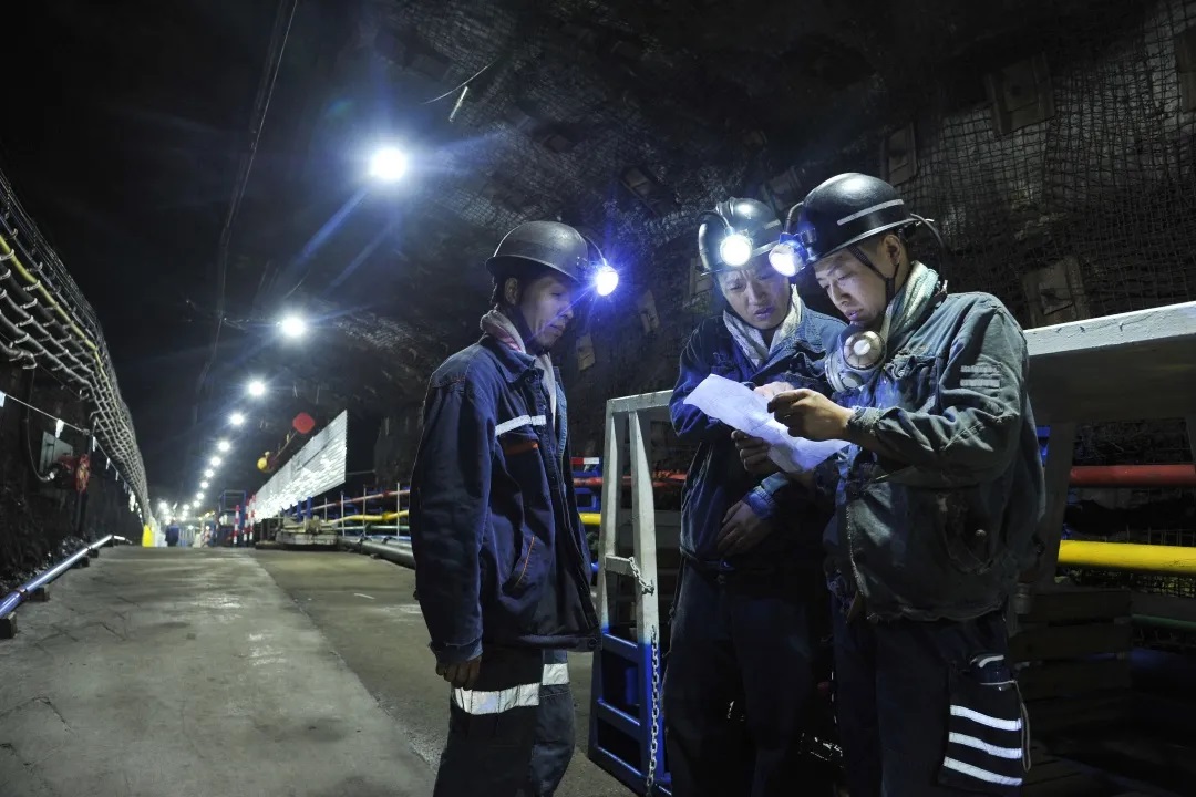 1723974495206767.jpg 0005.jpg