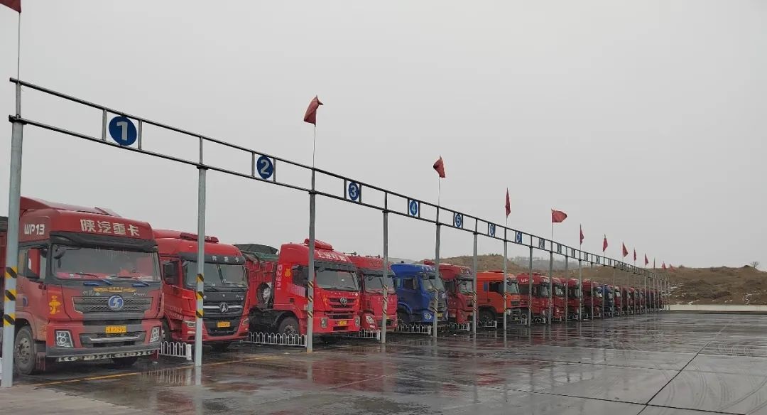 1734835449439010.jpg 0005.jpg