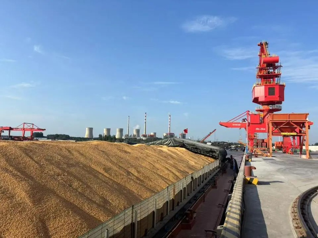 1751527668124125.jpg 05.jpg